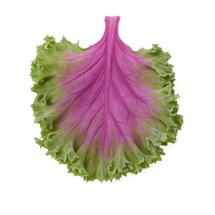 Oskoid