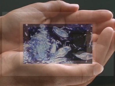 Micro Vision image 2