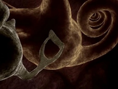 Super Hearing image 2