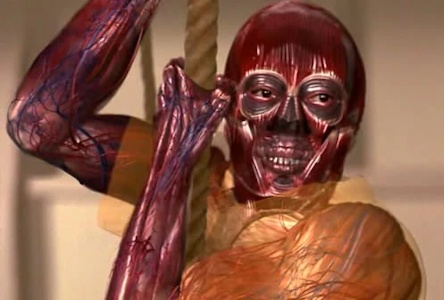 X-Ray Vision image 2