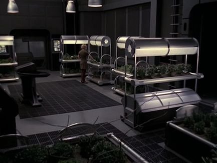 airponicsbay-1.jpg