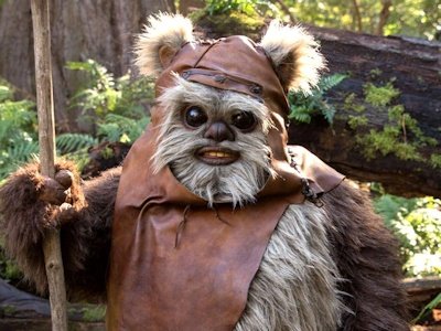 Ewok image 1