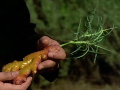 Leola Root image 1