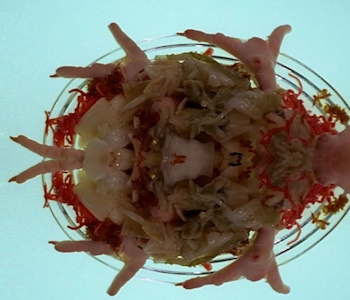 Pipius Claw image 1