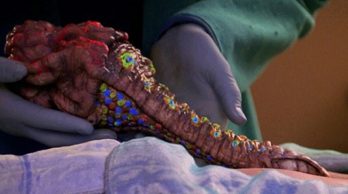 Symbiont picture