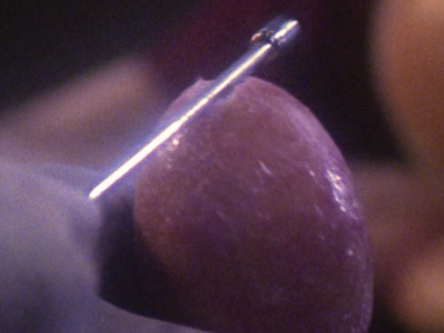 Taspar Egg image 1