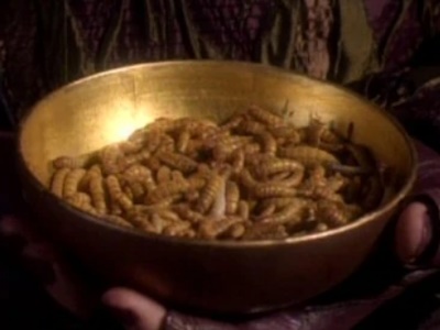 Tube Grub image 1