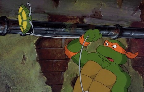 Turtle Line image 1